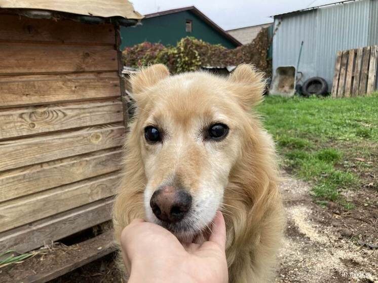     Фото: телеграм-канал Александра Козловского