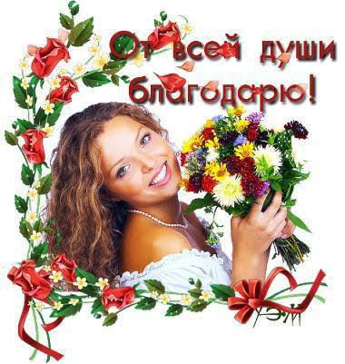 Изображение из интернета в свободном доступе 