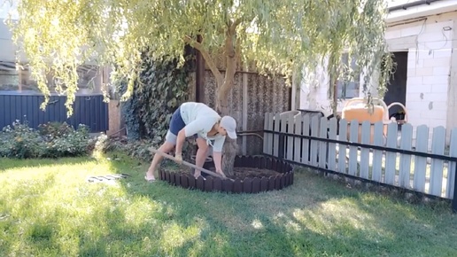 Посадка гортензий в открытый грунт, оформление приствольного круга!🌿🌺