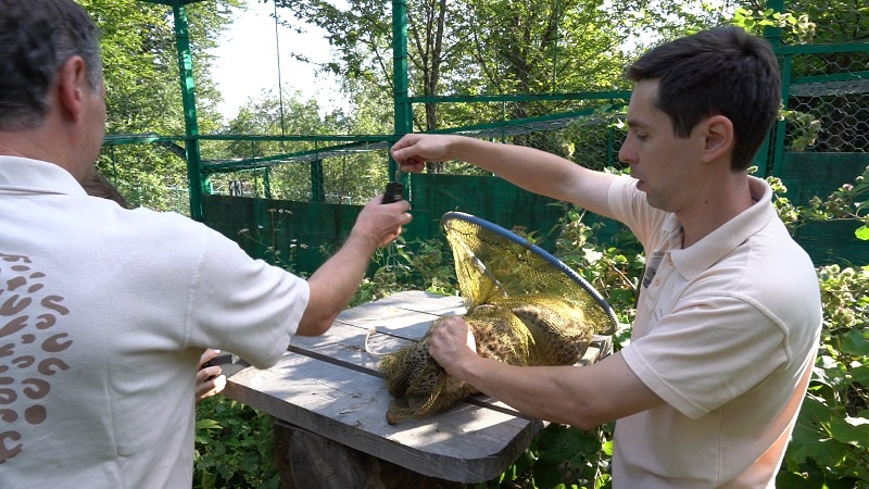 Источник: ИА ParkInfo