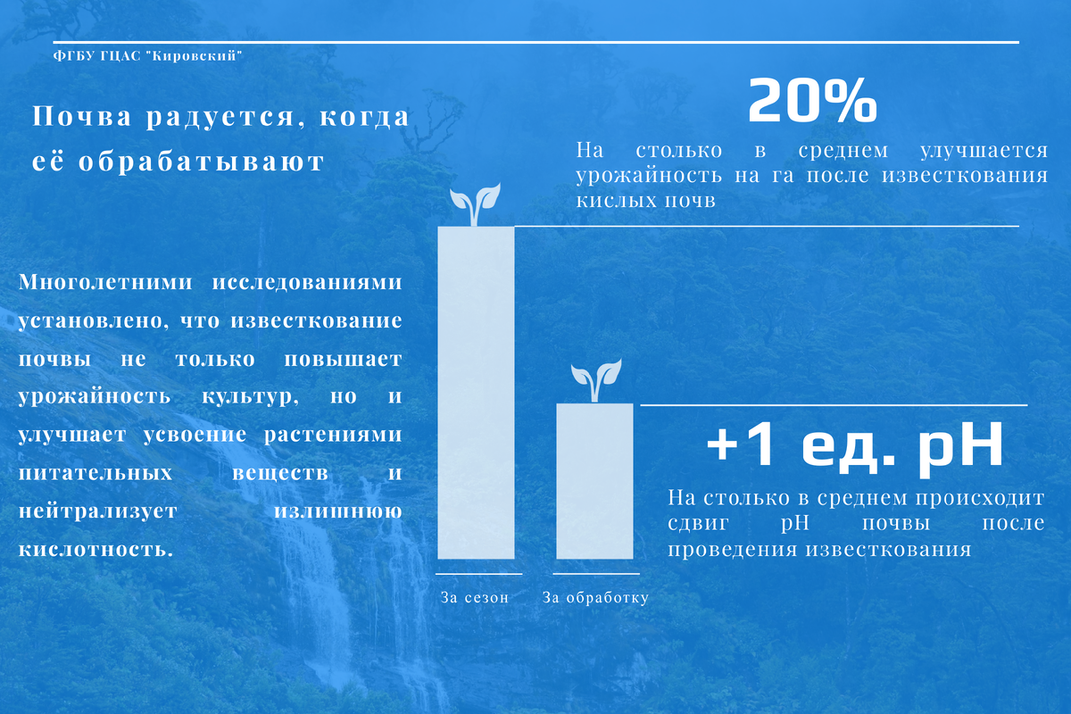 Влияние известкования на почву
