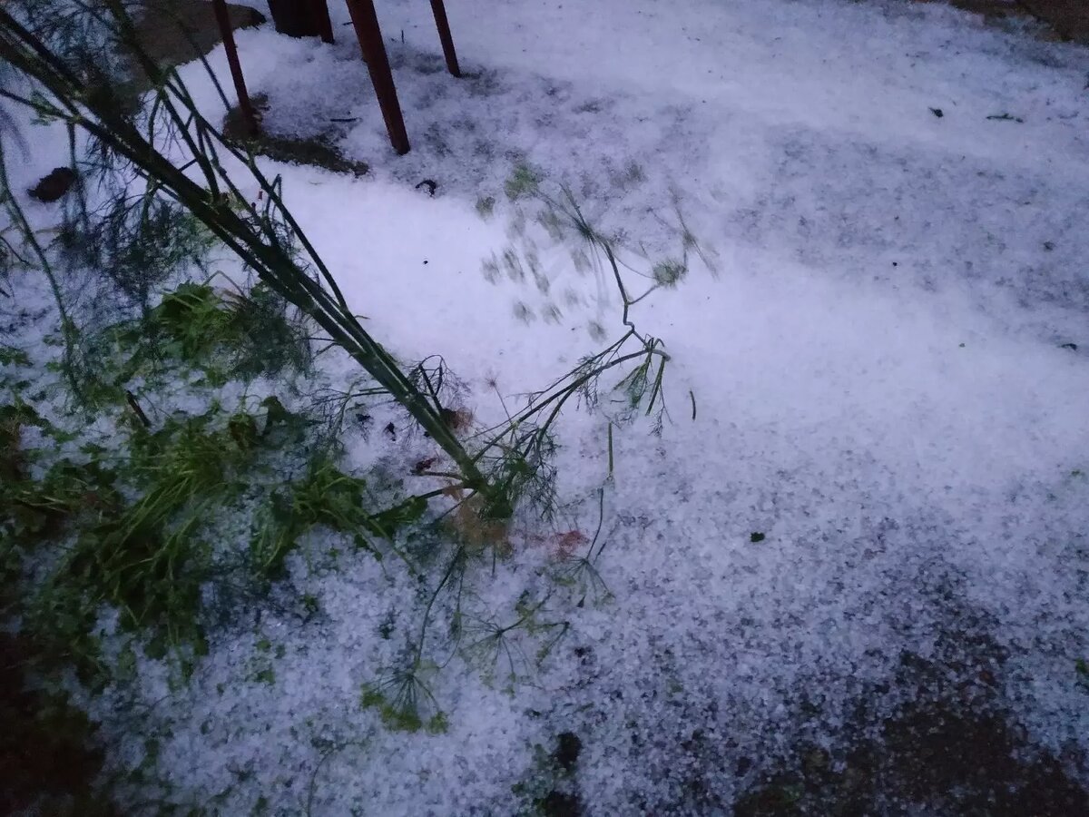     Источник: vk.com