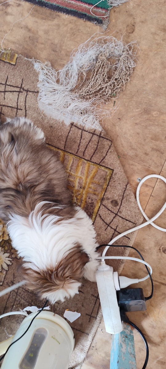 Съем и бумажки, и розетку!