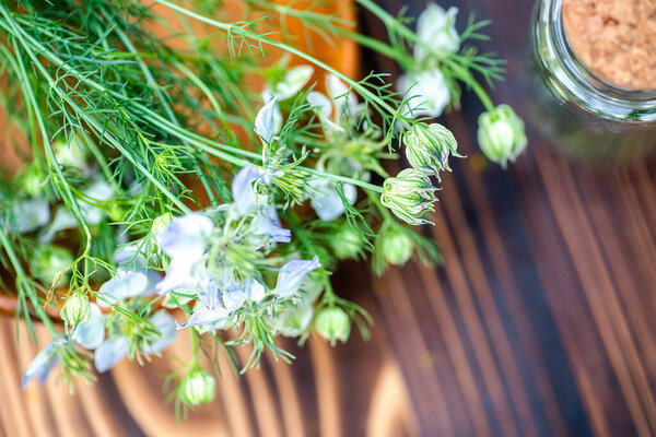 depositphotos, автор: christening 