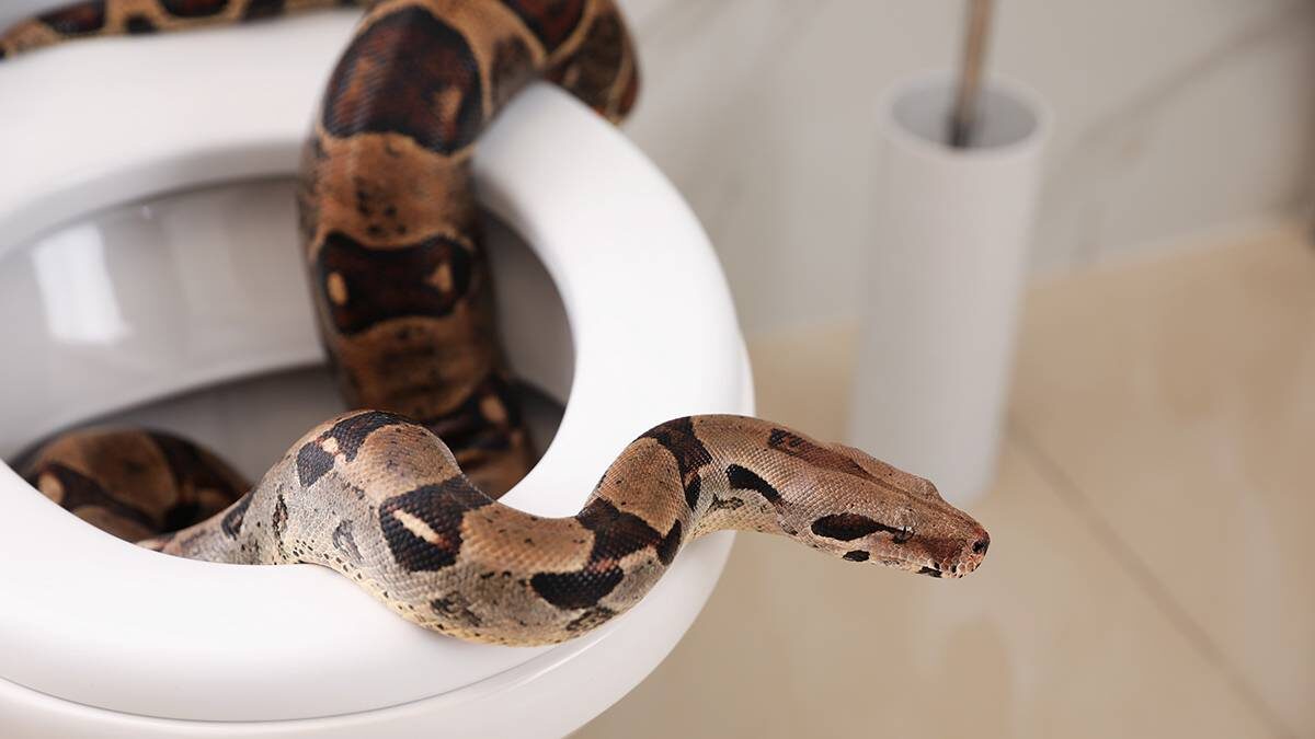    Фото: shutterstock