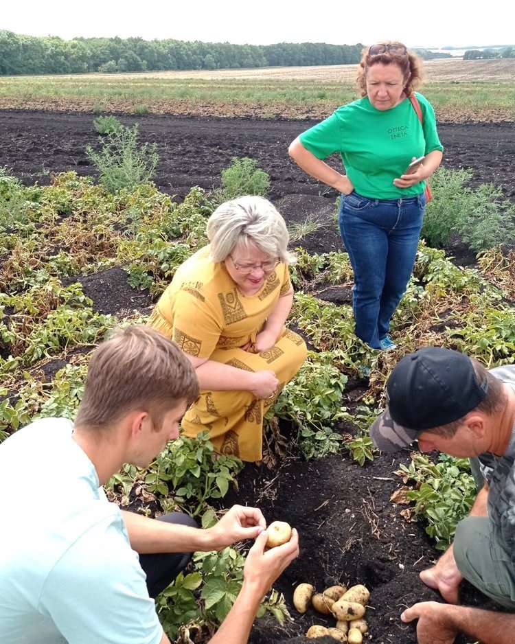     Фермерское хозяйство Ставропольского края стало демонстрационной площадкой для 11 российских сортов картофеля
