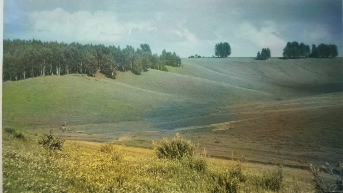 Окрестности Овстуга. Дорога в село. 1980 год. ГМИЛМЗО - 4265. Фотография раскрашена нейросетью. 