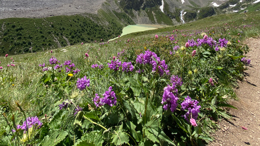 🌿Самое яркое путешествие лета на Кавказ🌿Поднимаемся на Эльбрус