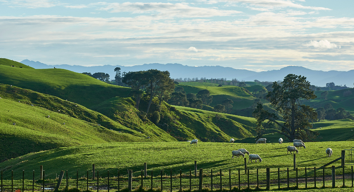 Картинка с бесплатного фотостока https://unsplash.com, автор Jari Hytönen