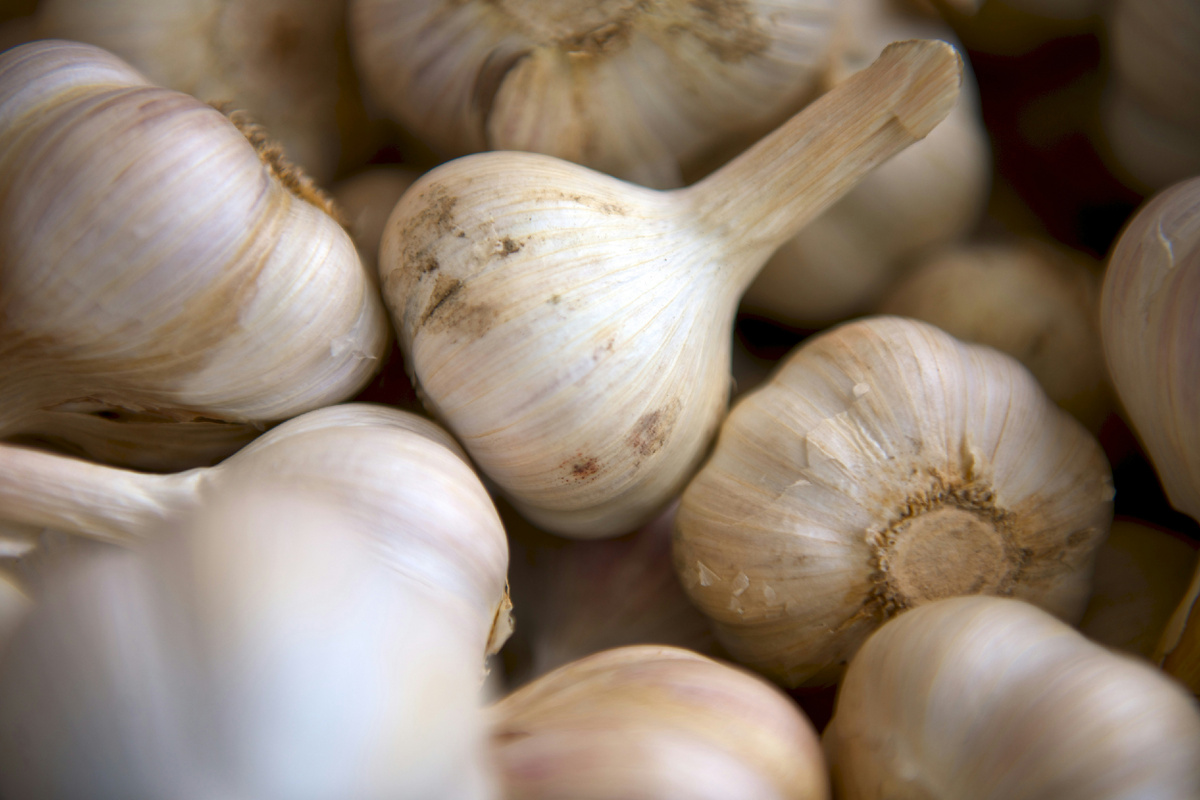 https://unsplash.com/s/photos/garlic