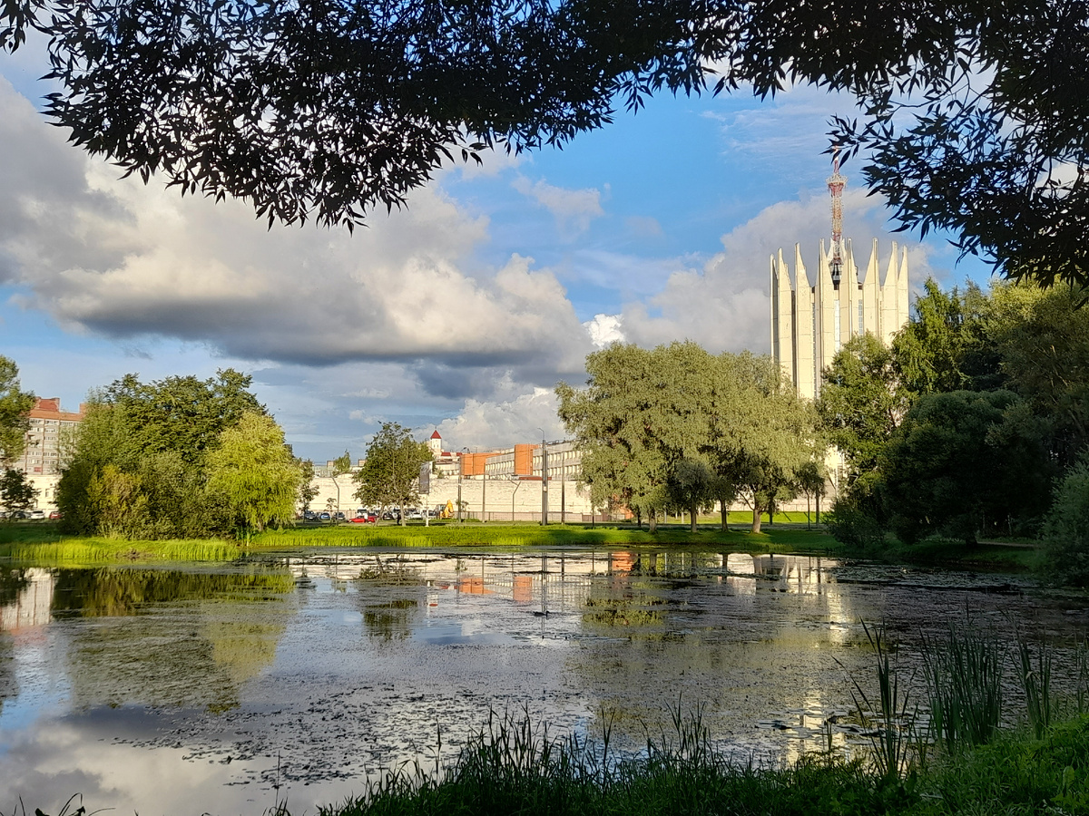 Фото автора. 