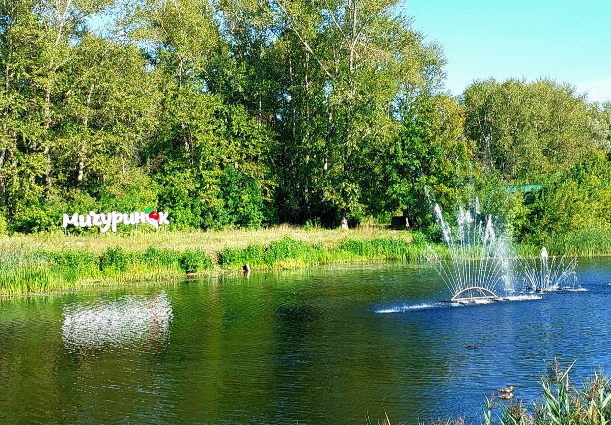 Река Лесной Воронеж. Город Мичуринск. Фото автора статьи.