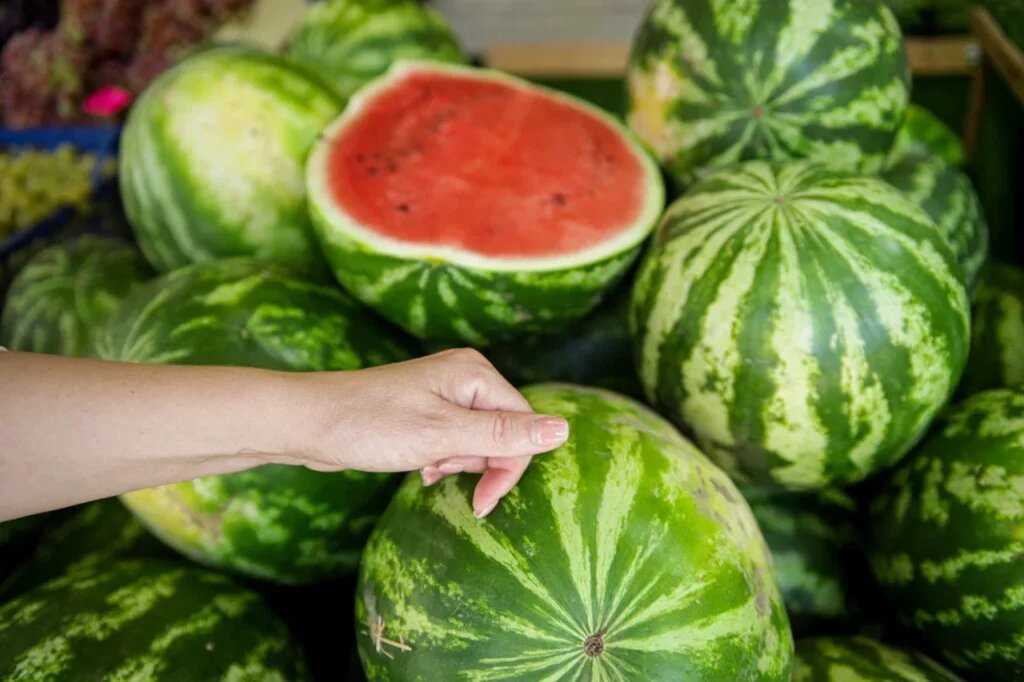    Фото: Эльвира Мясищева, «Краснодарские известия»