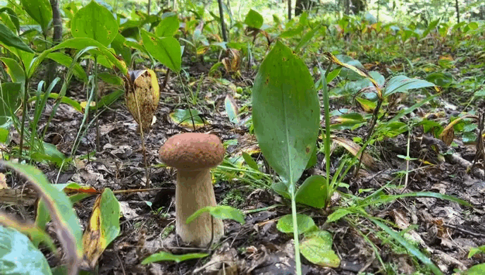 Фото автора. 13.08.2024