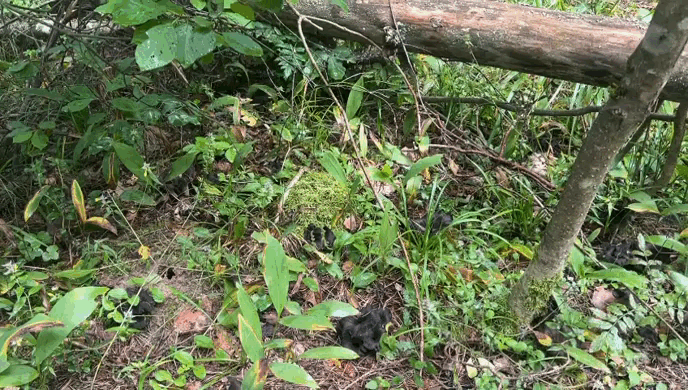 Фото автора 13.08.2024