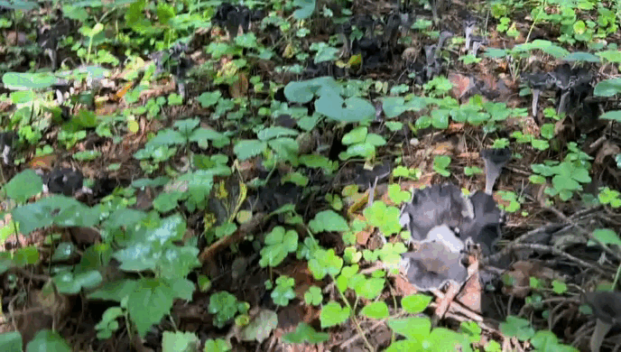 Фото автора. 13.08.2024