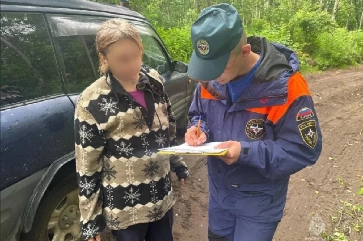    Спасаясь от медведя, жительница Камчатки провела ночь на дереве