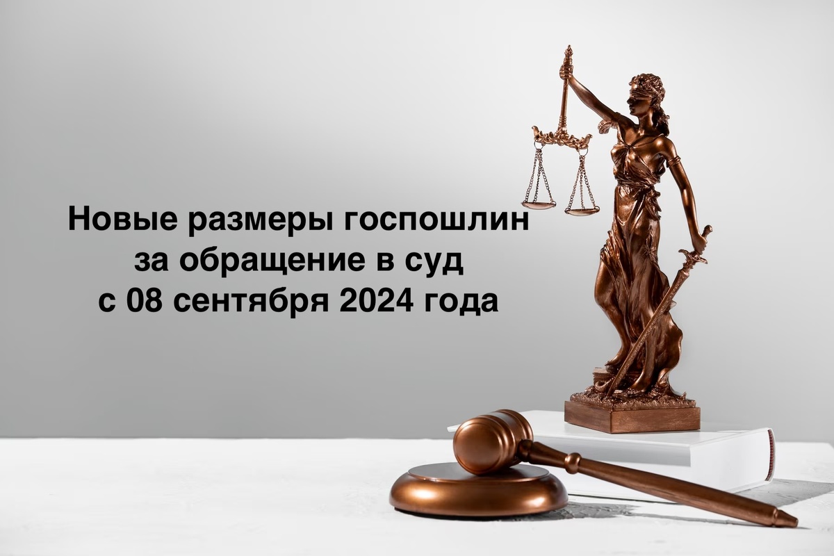госпошлина за обращение в суд в 2024. Новый закон о пошлинах при заявлении в суд. Юрист, защита прав в суде, представитель в суде.