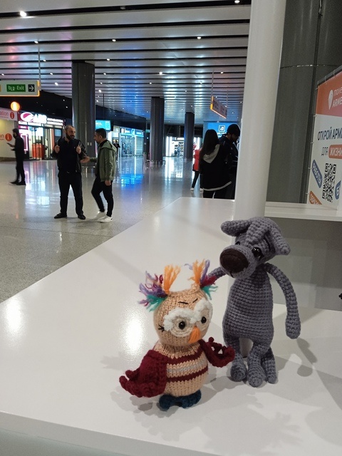 Куда ж я без своих питомцев