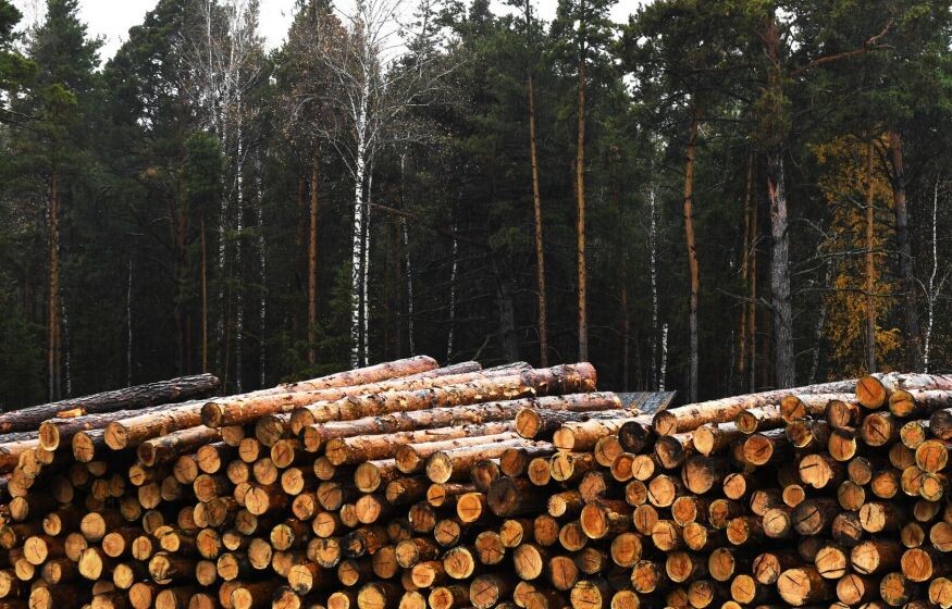    Европейские страны «загибаются» из-за антироссийских санкций