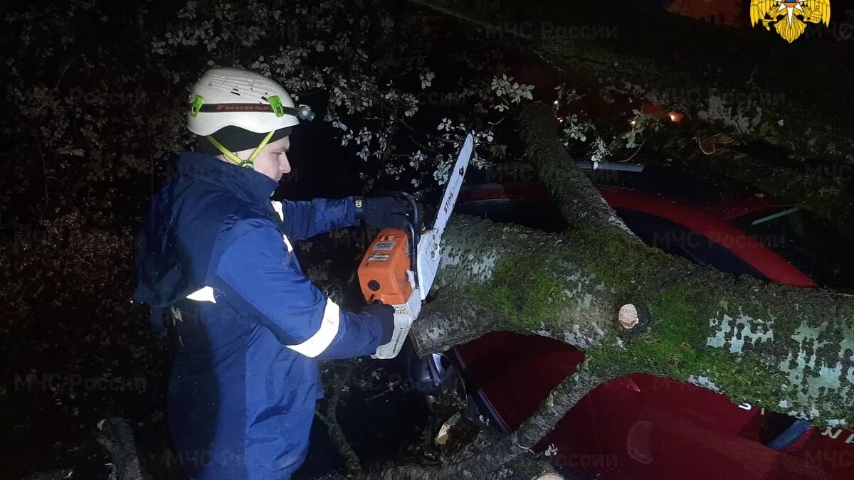     Автор: 32.mchs.gov.ru