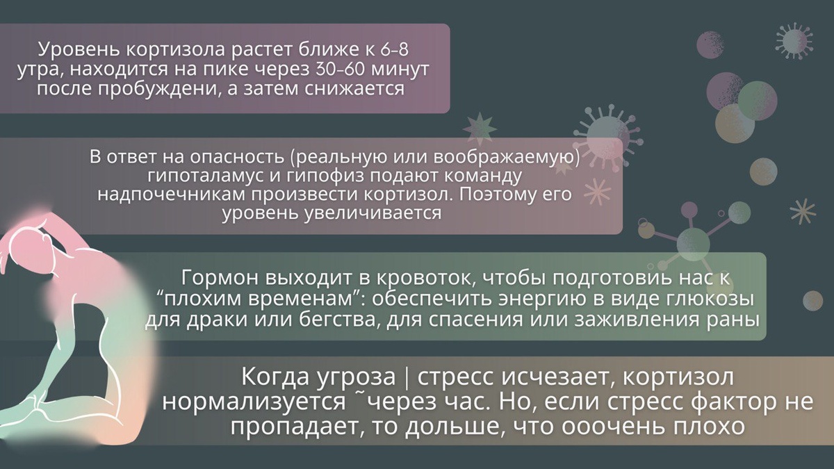 Кроме того, кортизол подавляет работу пищеварительной и репродуктивной систем, то есть то, что тебе не понадобится в опасной ситуации. 