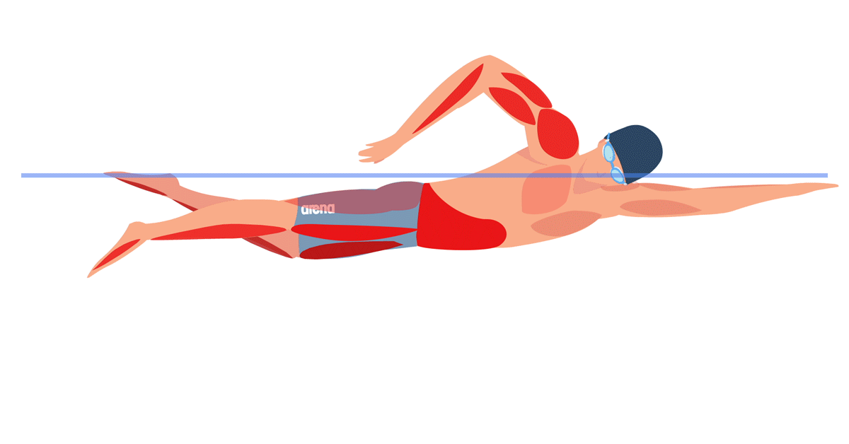 Вода в 1000 раз плотнее воздуха. Поэтому рациональность движений и знание таких терминов как шаг, цикл и темп необходимы для улучшения результатов. Об этом дальше, поехали.