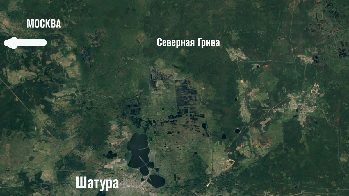 Лесной массив близ Шатуры. Google Map