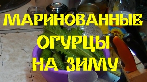 МАРИНОВАННЫЕ ОГУРЦЫ НА ЗИМУ