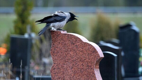    © Sputnik / Виктор Толочко