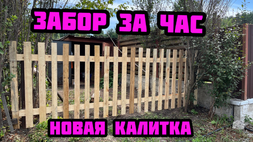 Новый забор и калитка