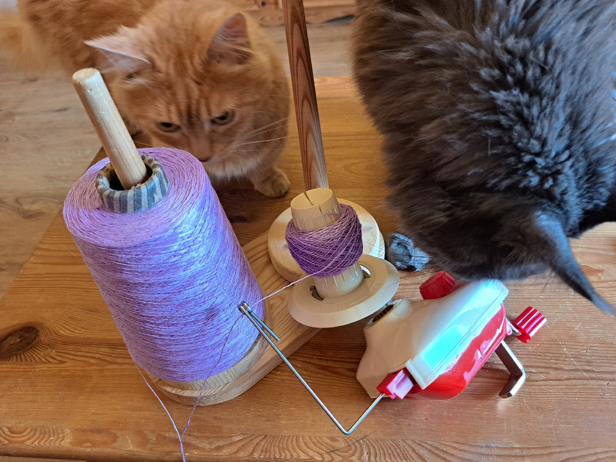 Кошки активно помогали, как обычно