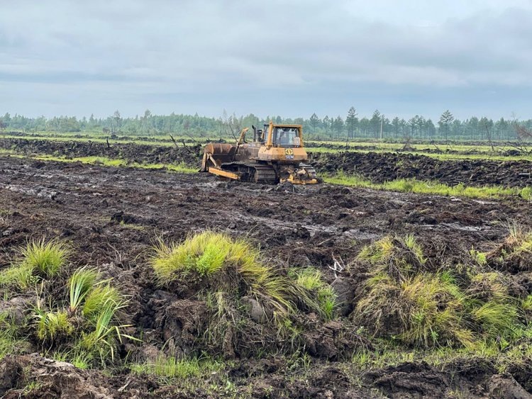    Впервые грант на противопаводковые мероприятия смогут получить аграрии в Хабаровском крае