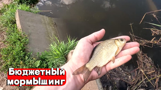 БЮДЖЕТНЫЙ МОРМЫШИНГ! САМОЕ ВАЖНОЕ В МОРМЫШИНГЕ? ТОНКИЙ ШНУР! ЛОВЛЯ КАРАСЯ НА СПИННИНГ! РЫБАЛКА 2024