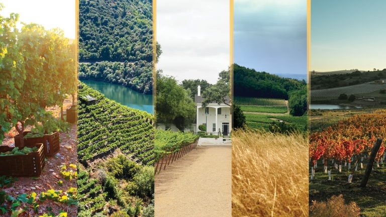 5 винодельческих регионов, на которые стоит обратить внимание в 2024 году