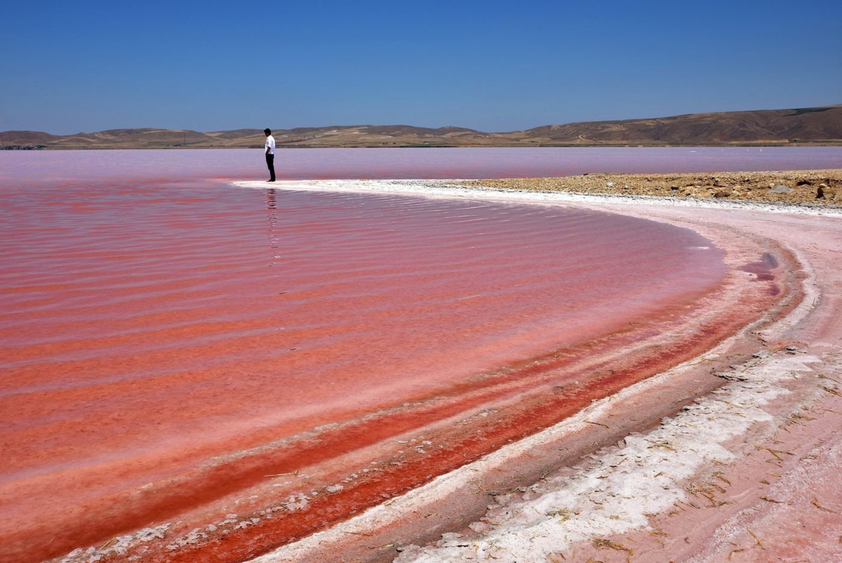 фото из интернет-источника 