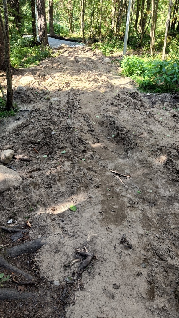    Жители Петрозаводска в ужасе от дорожек в Беличьем паркепаблик "Кукковка.РФ"