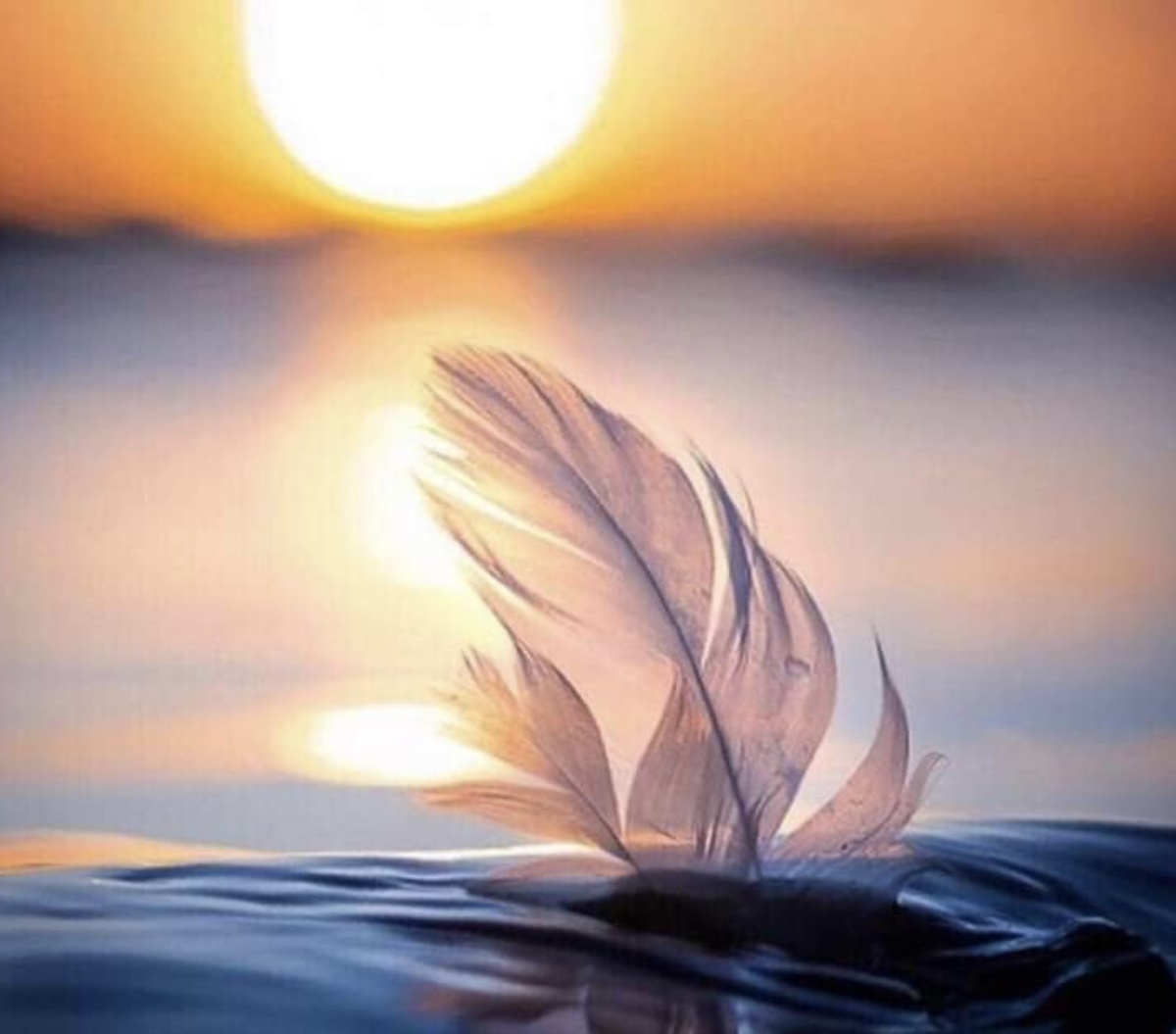 Из свободных источников