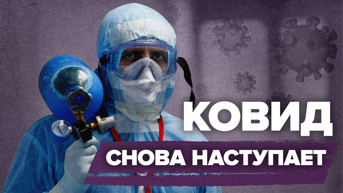 Фото: Телеканал «Краснодар»/Геннадий Аносов