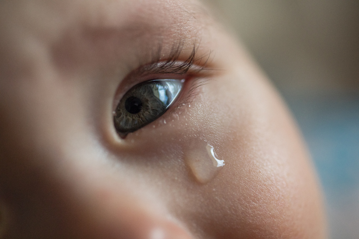 Фото: Konektus Photo/Shutterstock/Fotodom