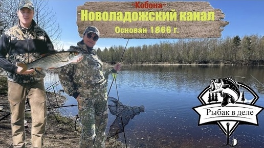 Рыбалка на новоладожском канале_Ловля Плотвы на фидер_#рыбаквделе#плотва#рыбалка#фидер