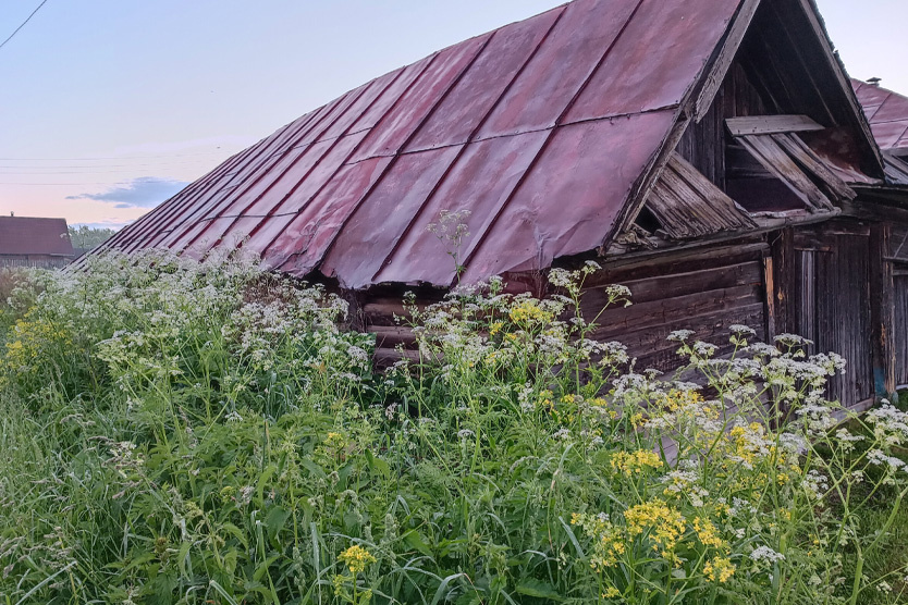Фото: Ученый агроном / Дзен