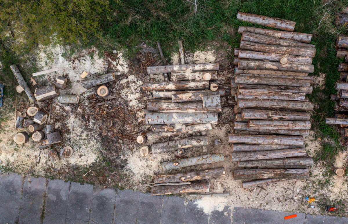 Фото: Jens Büttner/picture alliance via Getty Images