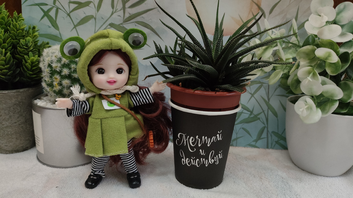 Лиза: Мечтай и действуй