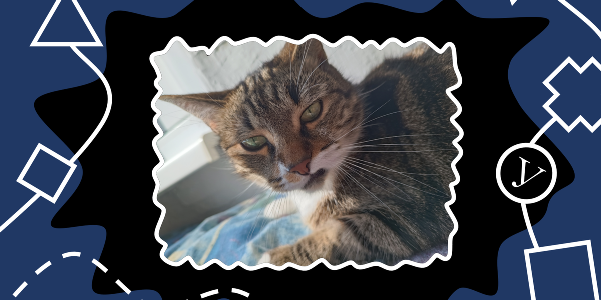 Кажется, ей все равно, что я выращиваю растения для себя. У нее на них другие планы