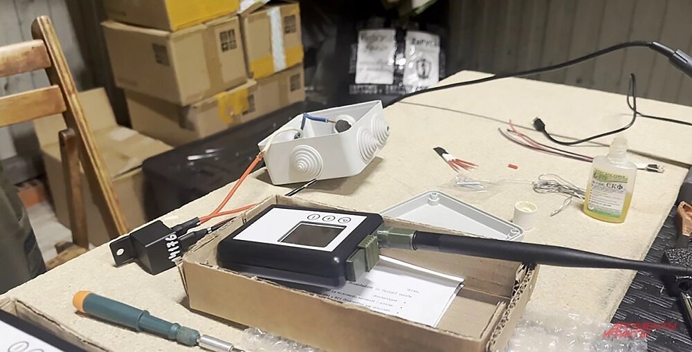    Фото:  АиФ/ Дмитрий Григорьев