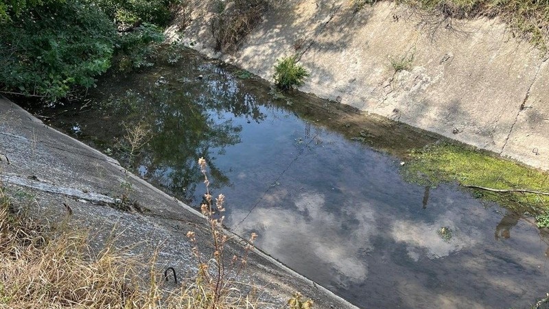      Фото: администрация Георгиевского округа