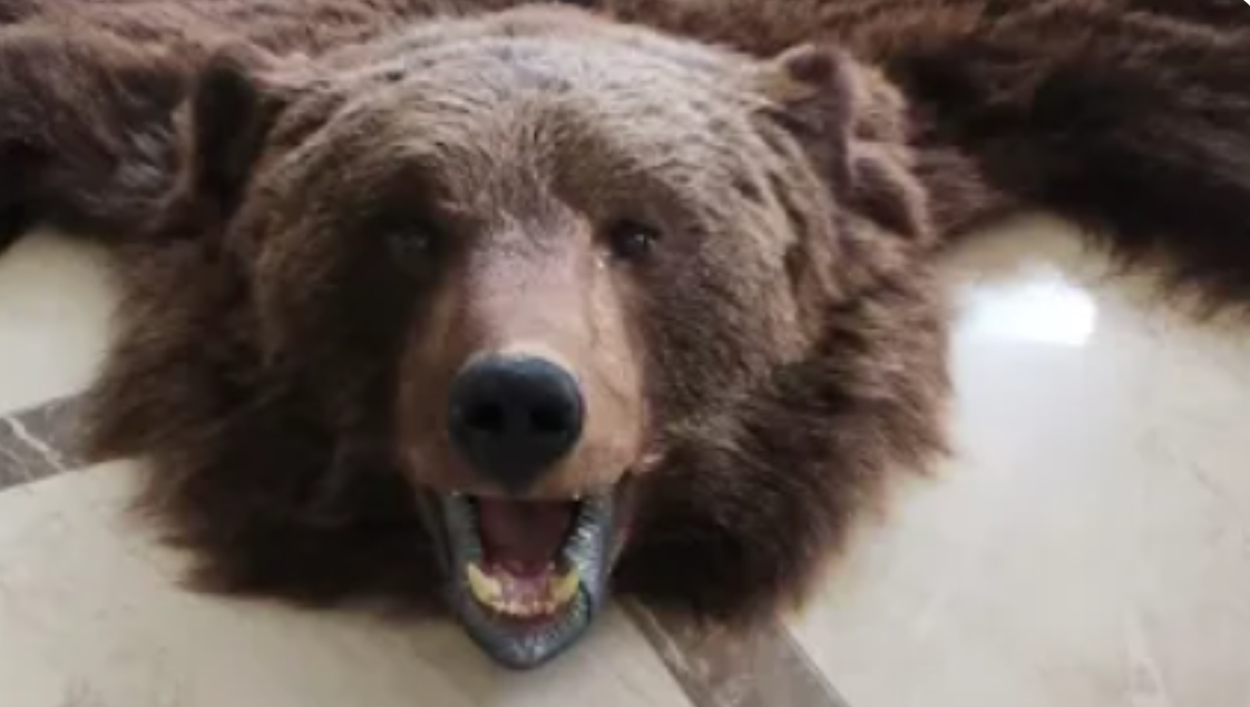 фотография из личного архива