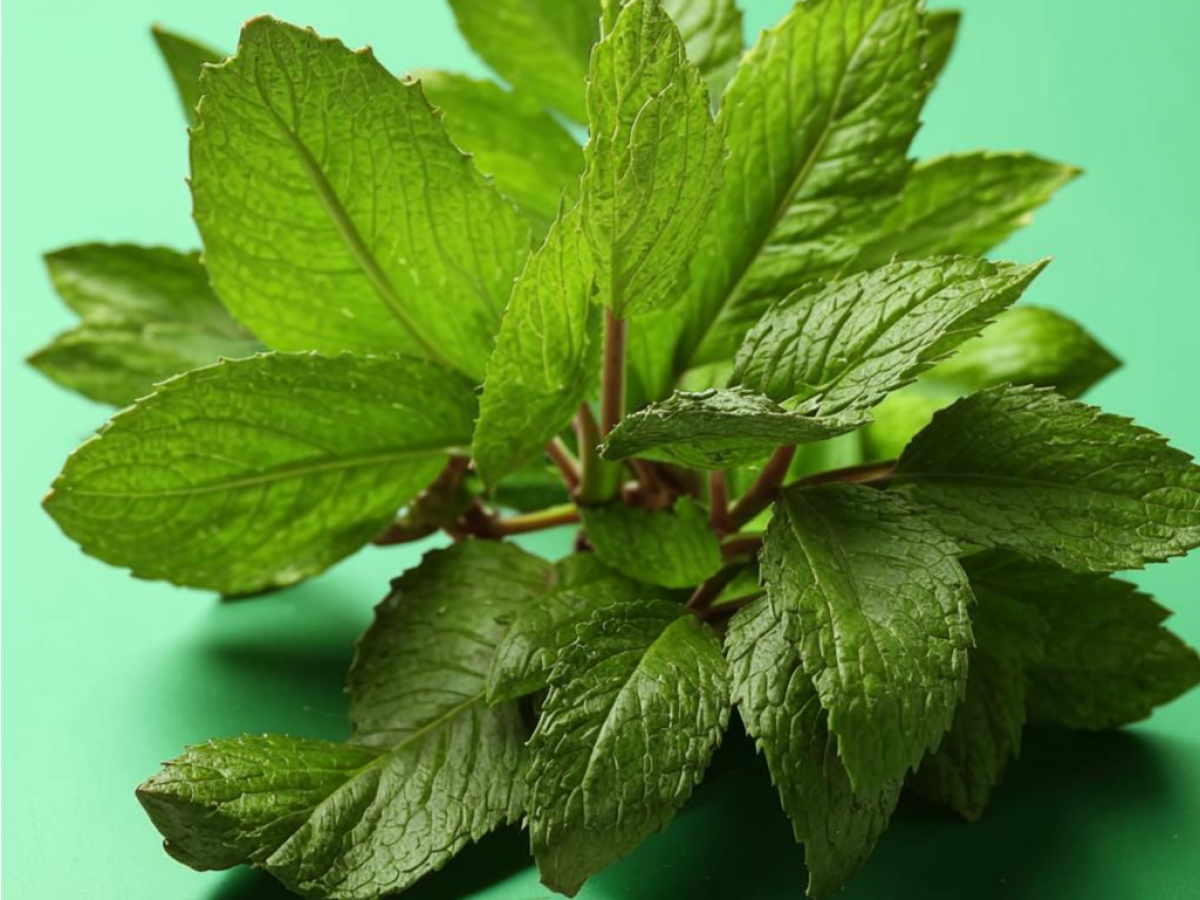 Фото: нейросеть «Кандинский 3.0»