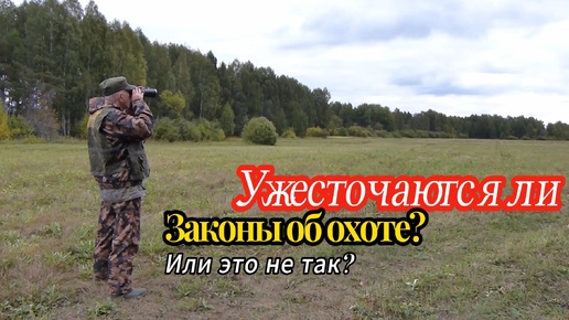 Ужесточаются ли законы об охоте?